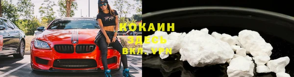 стафф Аркадак