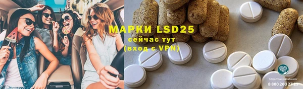spice Арсеньев